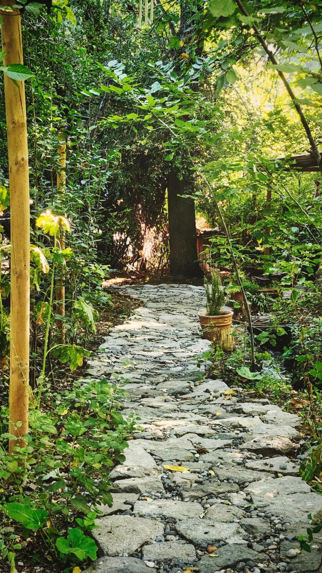 El Jardin, Eco Cabanas Boutique Сан-Альфонсо Экстерьер фото