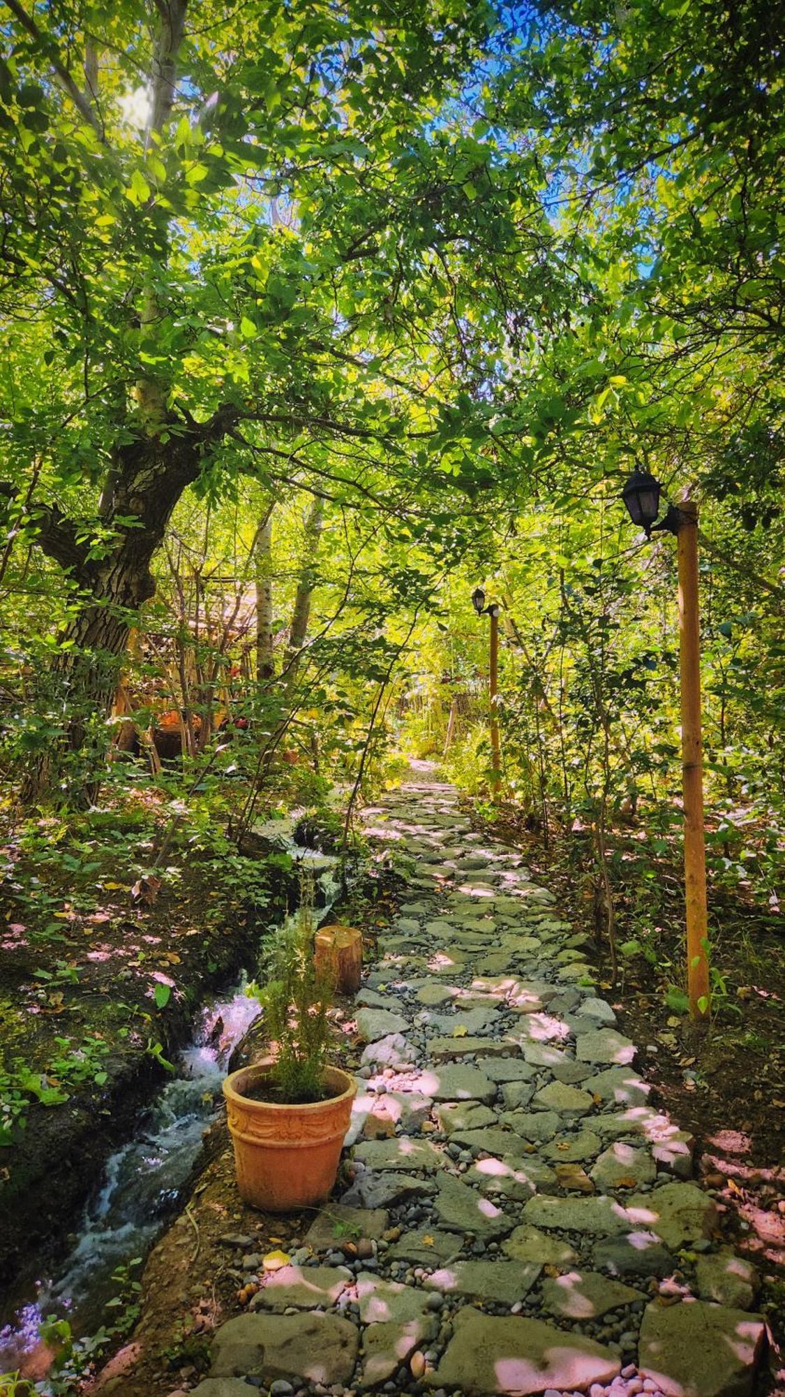 El Jardin, Eco Cabanas Boutique Сан-Альфонсо Экстерьер фото